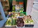 FRUTERIA Mª CARMEN
