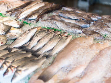 Pescadería Cristi