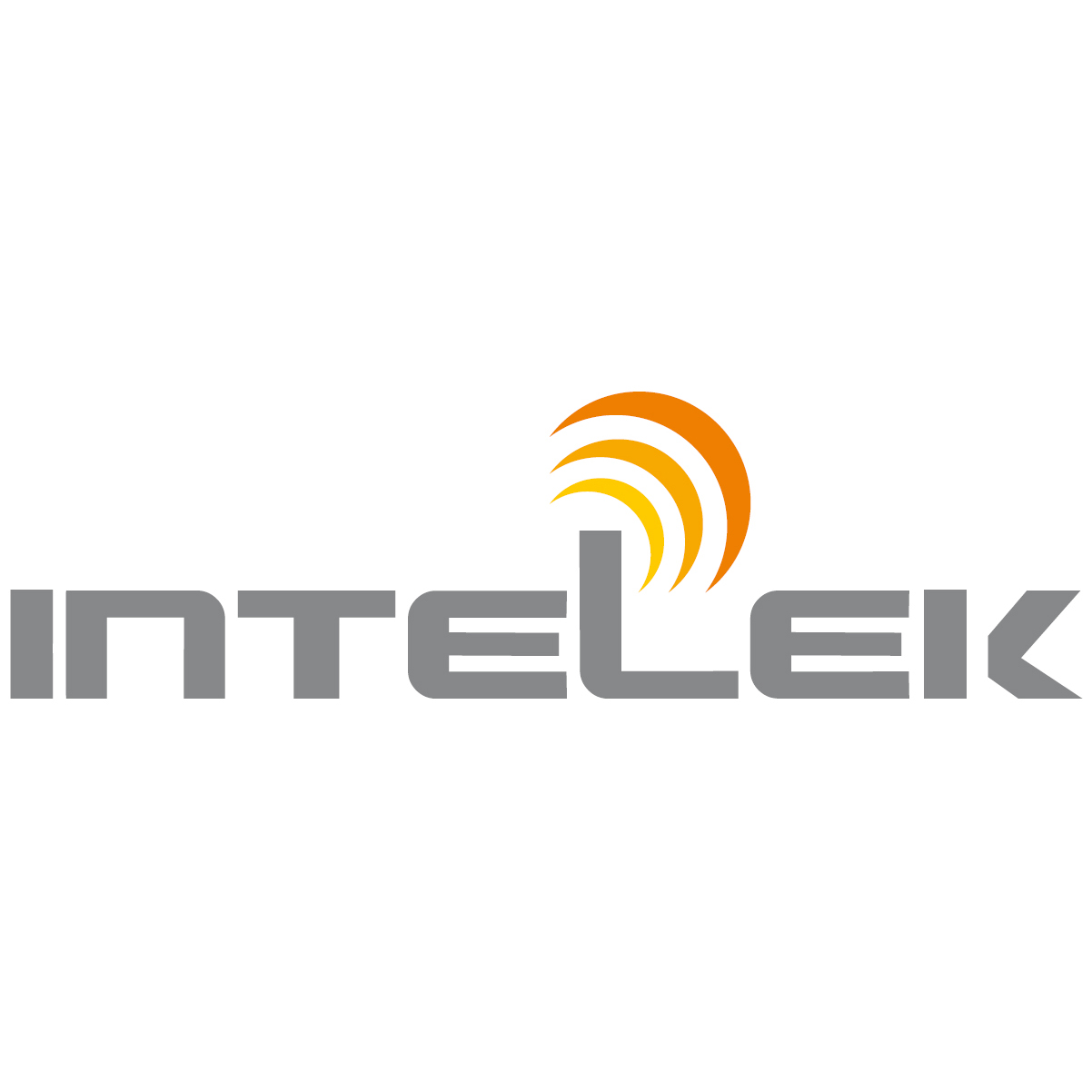 Intelek Servicios Informáticos