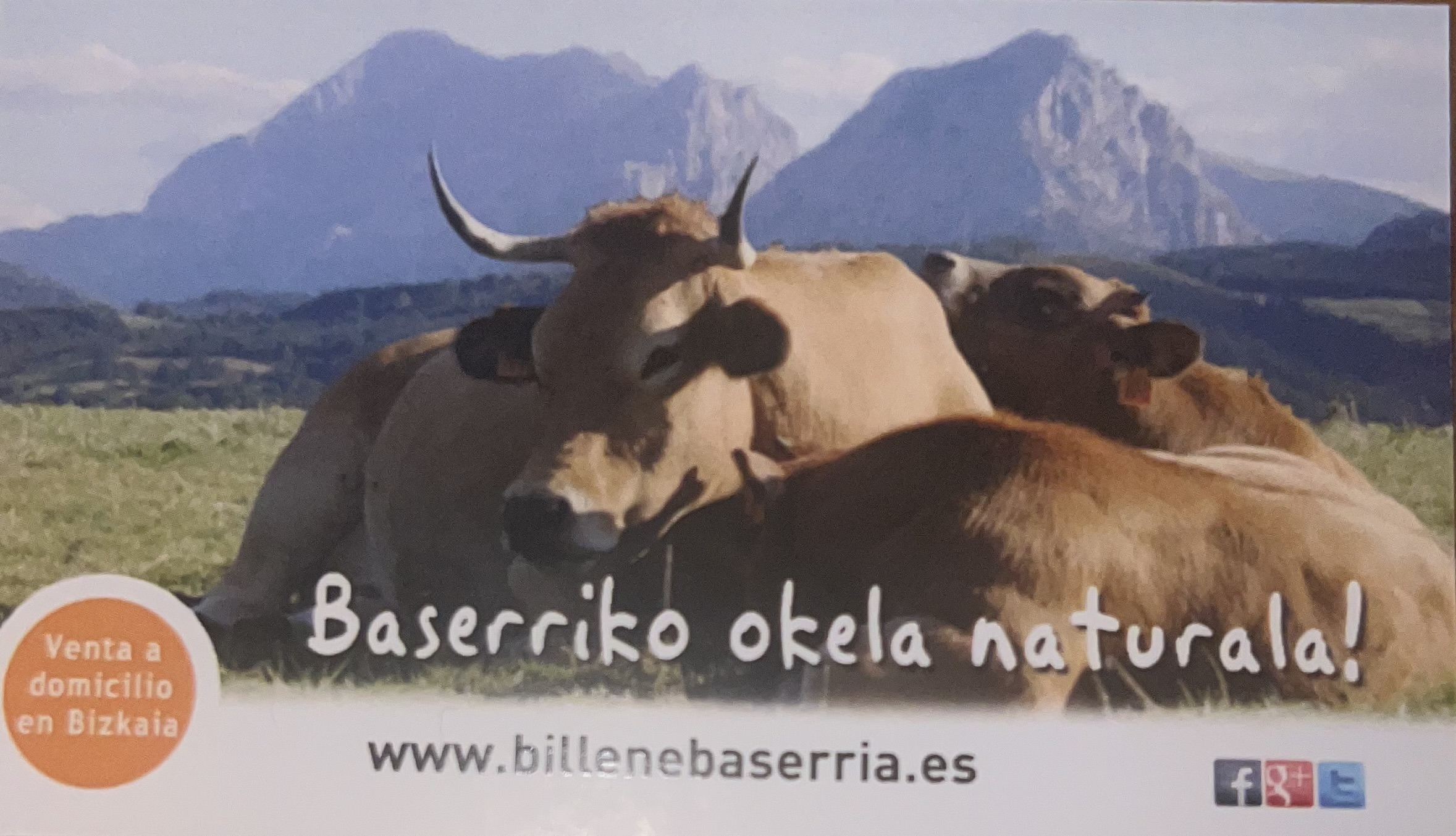 Billene Baserria