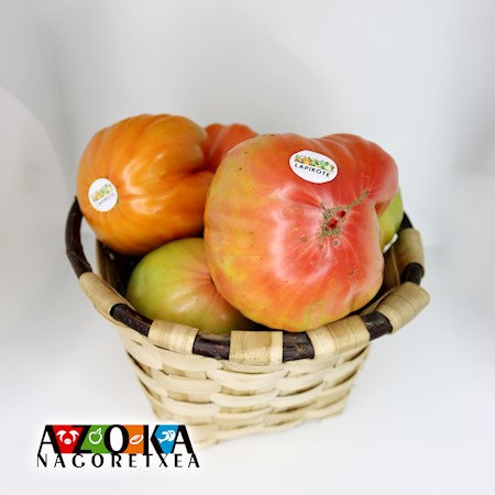 TOMATE CORAZÓN DE BUEY