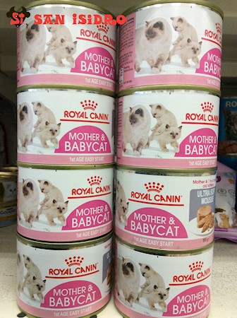 Mother & Babycat royal canin gato