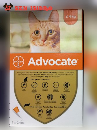 Advocate gato