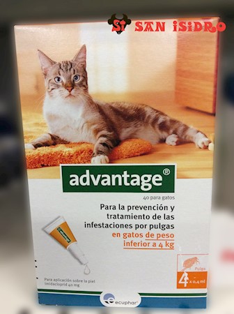 Advantage gato
