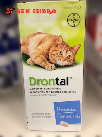 Drontal gato