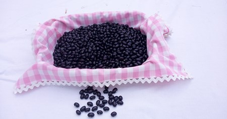 Alubia de Tolosa
