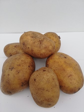 patata alavesa