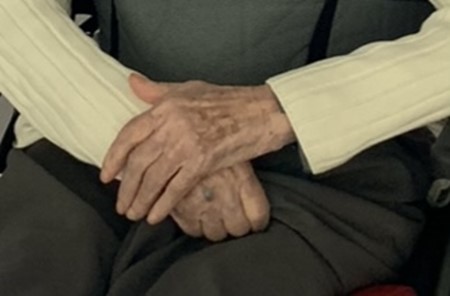 Fisioterapia en geriatría