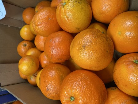 Naranja Navelina