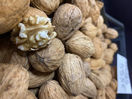 Nueces KG