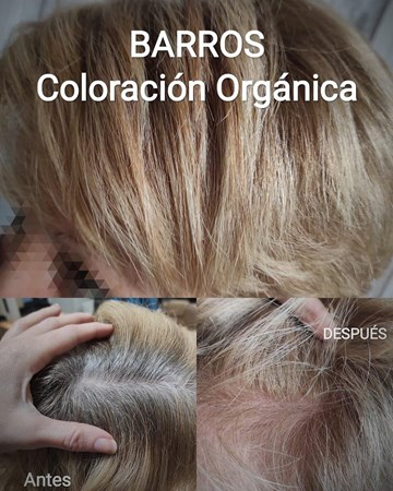 Coloración orgánica barros