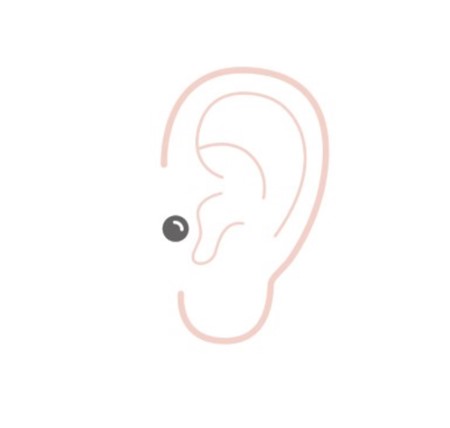 TRAGUS